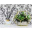 Diffuseur de muguet