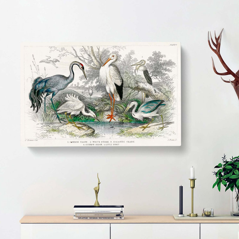 Crane, Stork, Egret & Heron by Oliver Goldsmith - Wrapped Canvas, 40cm H x 60cm W x 3cm D