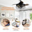 Caselli 36'' Ceiling Fan with Light Kit