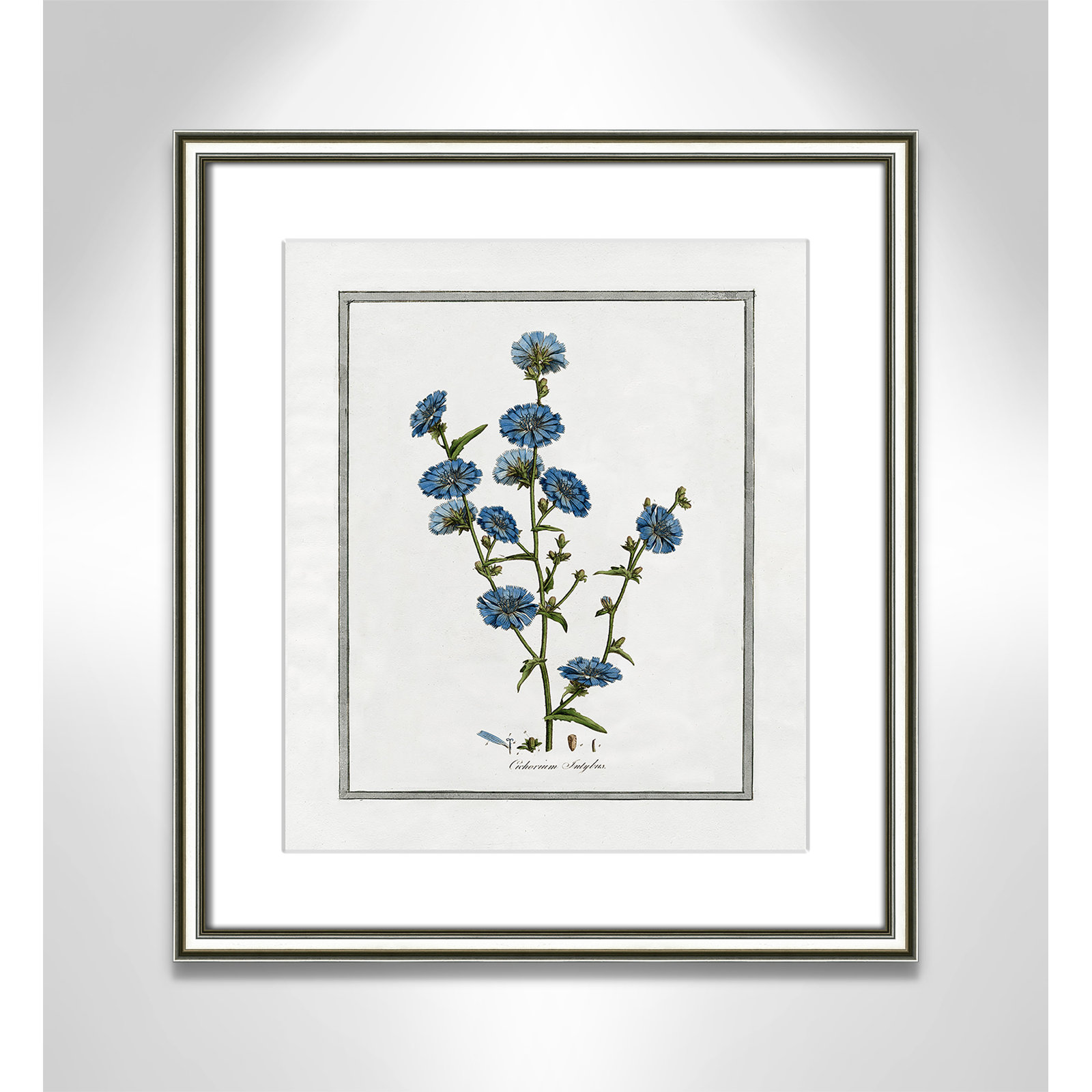 Colombe "Soft Botanical I" Print, 14.25" W x 16.25" H, Silver Framed