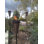 TIKI® Brand Island King® - Grande flamme de 66 po en métal TIKI brun foncé - 111214968