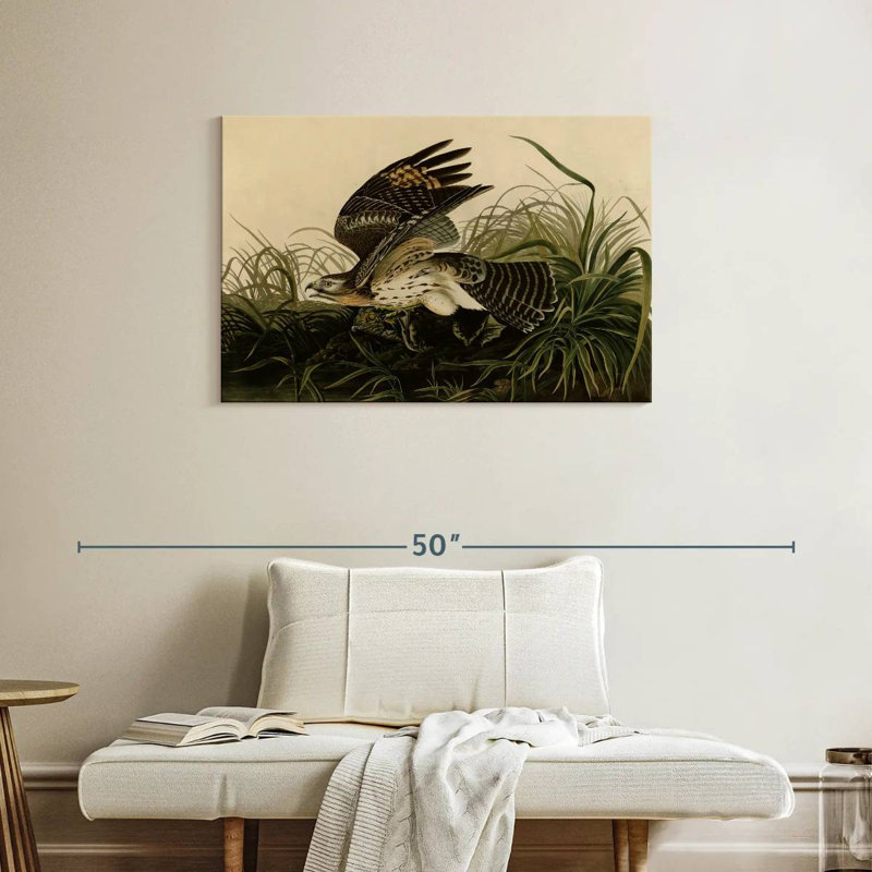 Brampt Winter Hawk, 24" H x 36" W
