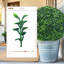 2 pièces boule de buis artificielle 22 pouces-1915459693