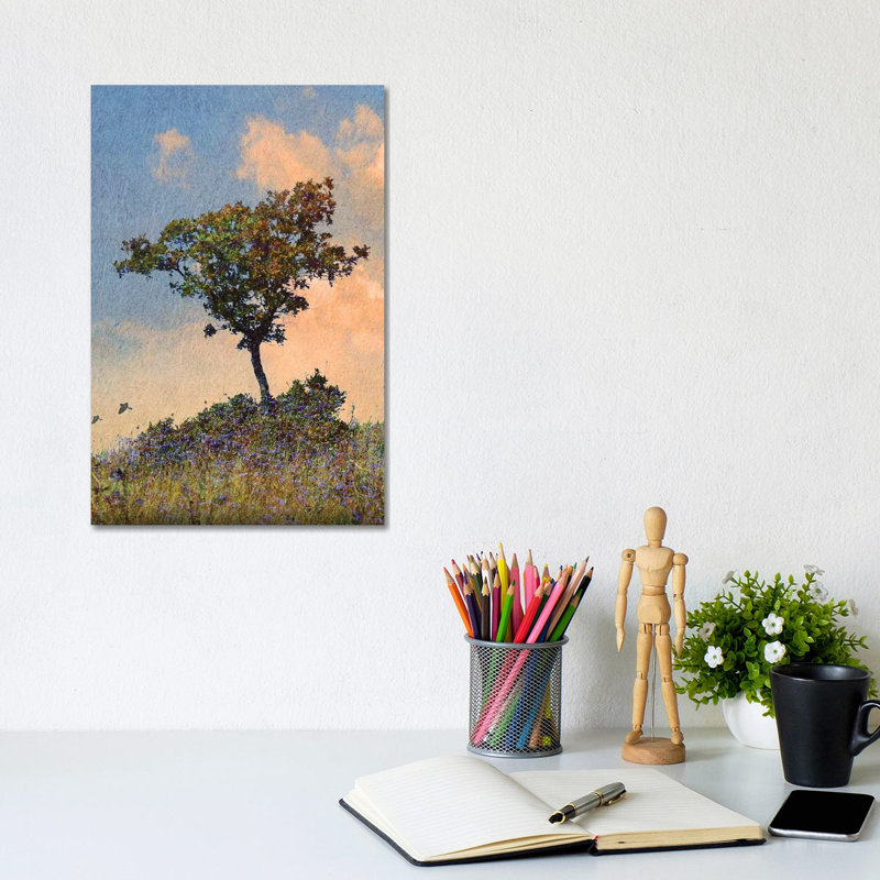 Oak Tree Left by Christopher Vest - Wrapped Canvas Print, 20.32 cm H x 30.48 cm W
