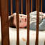 Embraced Forms 4-in-1 Convertible Crib