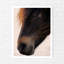 Pony - No Frame Print