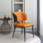 Chaise d'appoint moderne (ensemble de 2)-1345026335