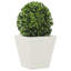 Asua Metal Planter Box-1391832533-1391832529