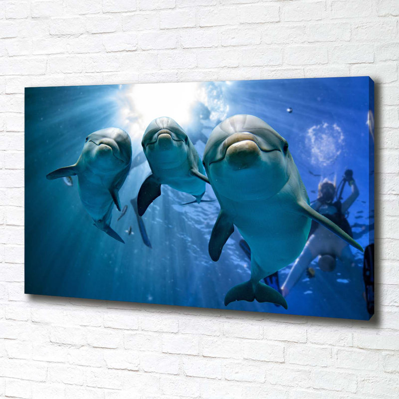 Three Dolphins - Wrapped Canvas Print