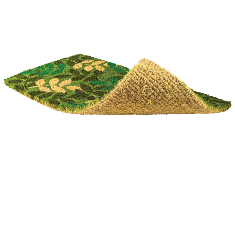 Paillasson d'extérieur 30 po x 18 po McVeytown Coir