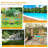 Acacia Outdoor Lounge Chair-922842232