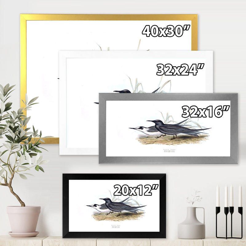 Oiseau rétro de l'Europe II - peinture sur toile, H 30 po x l 40 po x 1,5 po, Cadre doré