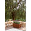 Corten Steel Series Long Box Planter-15304619