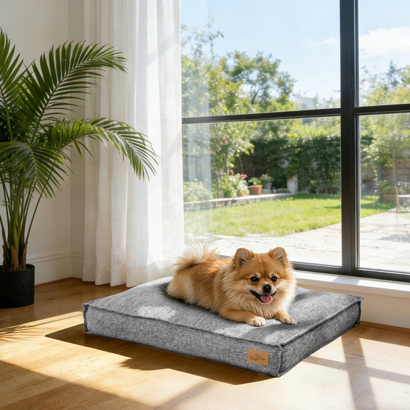 Pet Bed Firm Support Crate Mattress, Small (10cm H x 75cm W x 50cm D), Grey