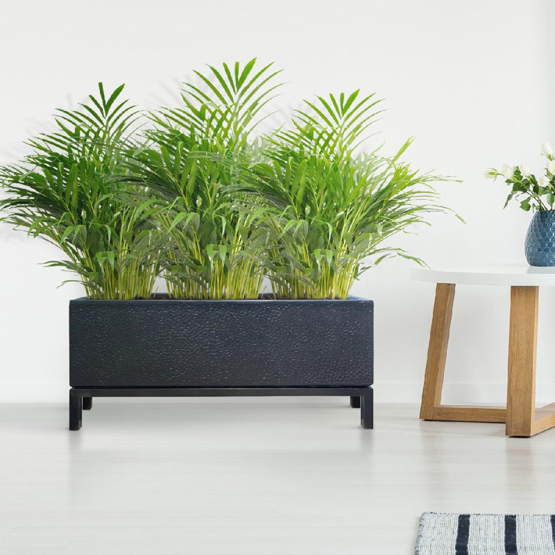 Indoor Raised Trough Planter, Concrete Effect Rectangular Plant Pot with Hammered Pattern, Black Flower Pot on Metal Stand