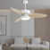 Light Pro LED Indoor Smart Ceiling Fan With Remote Control