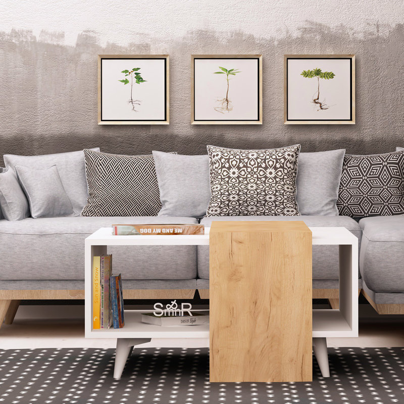 Paulita Four Leg Coffee Table with Storage