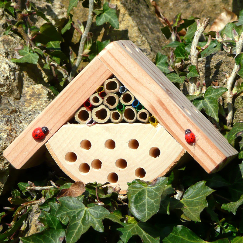 Minoa Mounted Ladybird House
