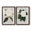 Camellia Japonica I - ensemble de 2 reproductions d'impressions-1902663014-1902889051-1902889030