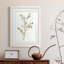 Cadre simple mat Premium Sprig II prêt à accrocher-608552820-608552821