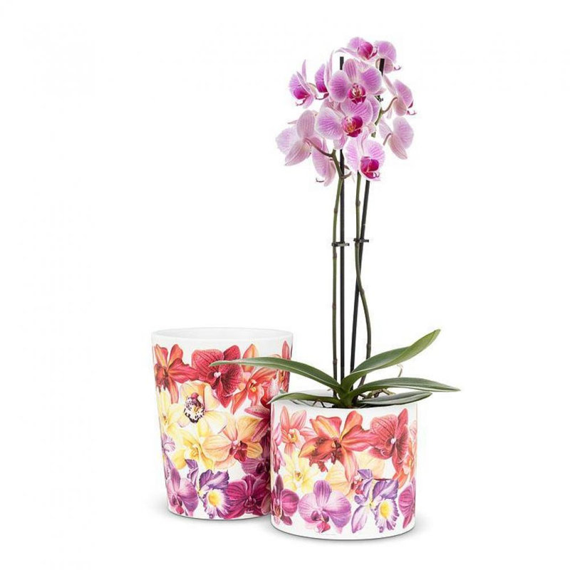 Nakara Ceramic Cachepot, 6" H x 4.5" W x 4.5" D