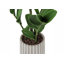 20 po de hauteur plante artificielle Zz en pot de ciment gris, plante décorative d'intérieur avec effet de verdure