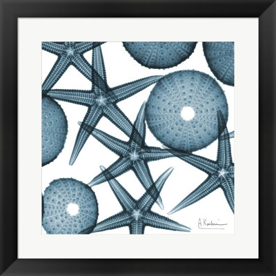 " Starfish 2 " by Albert Koetsier Painting Print