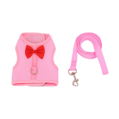 Ensemble de harnais et de lapin Rabbit