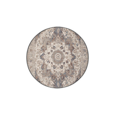 Machine Washable Gray Area Rug