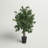 4' Artificial Ficus Bush, Black Plastic Pot