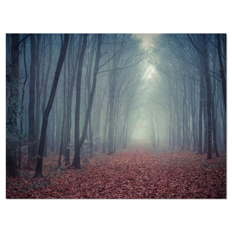 «Retro Style Misty Path in Forest», reproduction de photo sur toile tendue, H 8 po x l 12 po x P 1 po
