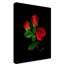 «Red Roses» par Dosta, impression sur toile tendue-29226618