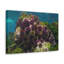 No Frame Print on Canvas-1510350824