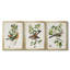 Oiseau antique, botanique et œuf I - ensemble de 3 peintures sur toile encadrées-1128397847-1128397846