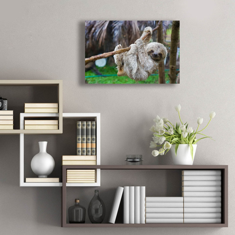 " Baby Sloth " by Epic Art Portfolio
