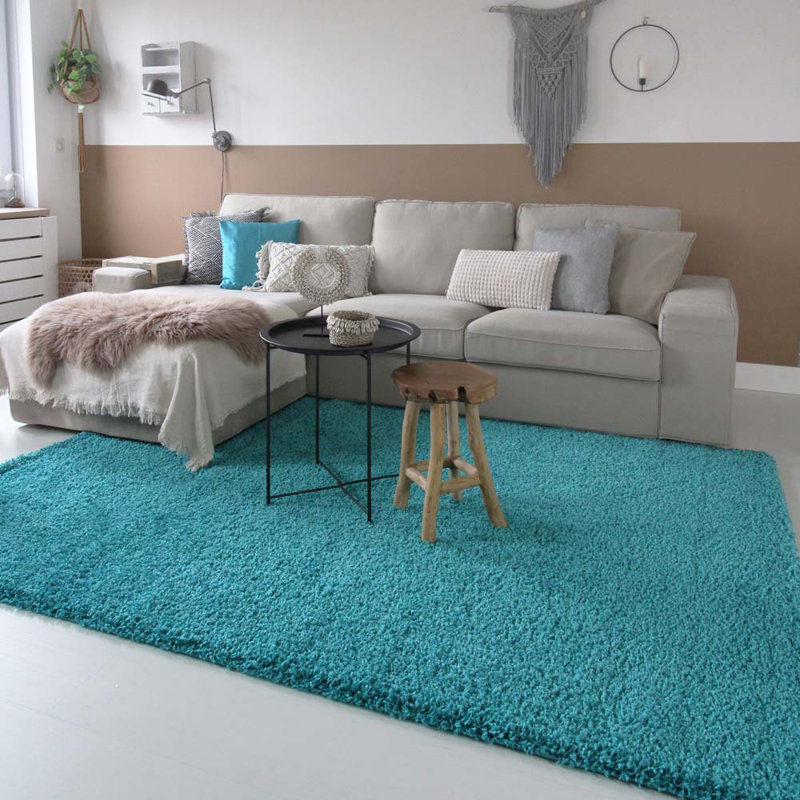 Aloysia Solid Colour Shag Area Rug, Rectangle 240 x 340cm