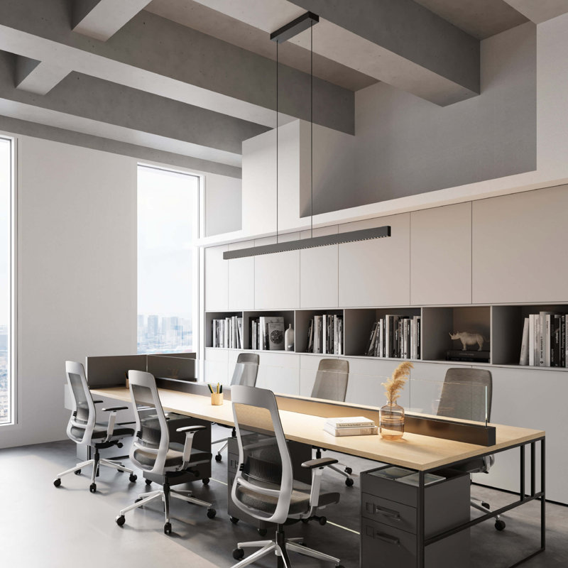 Luminaire suspendu linéaire 48 po Pinpoint, 48 pouces
