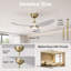 Ensemble de 2 ventilateurs de plafond 42 po avec moteur à courant continu réversible à haut débit d'air-519805135-519805136