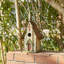 Maison d'oiseaux 12 po x 6,5 po x 5 po Strader