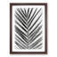 Plat Leaf in Abstract - Picture Frame Graphic Art Print-55767046-55767049
