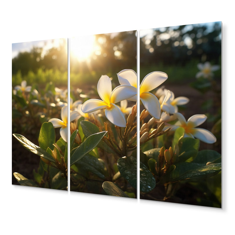 Ensemble de décorations murales en métal jaune et blanc exotique Plumeria Blooms III