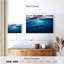 Baleine bleue Brampt-107688008