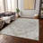 Machine Washable Indoor/Outdoor Chayden ACN985 Ivory Rug-99068401