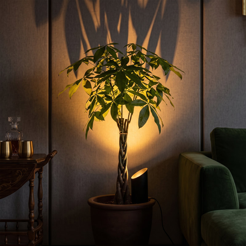 Dimmable LED Corner Spotlight Floor Lamps with Remote Control