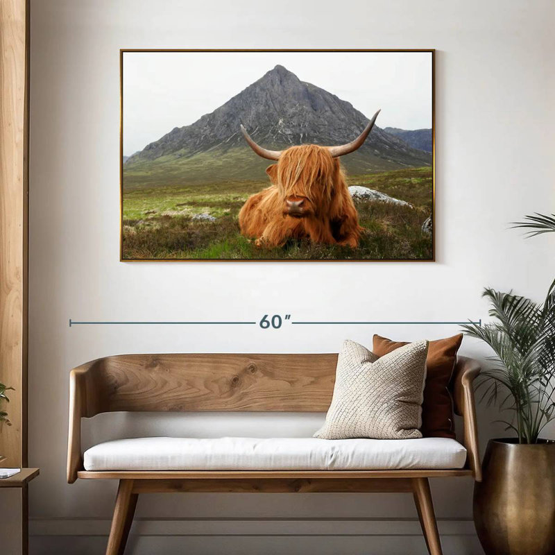Highland Cow Serenity, 25 po x 17 po, Cadre flottant doré