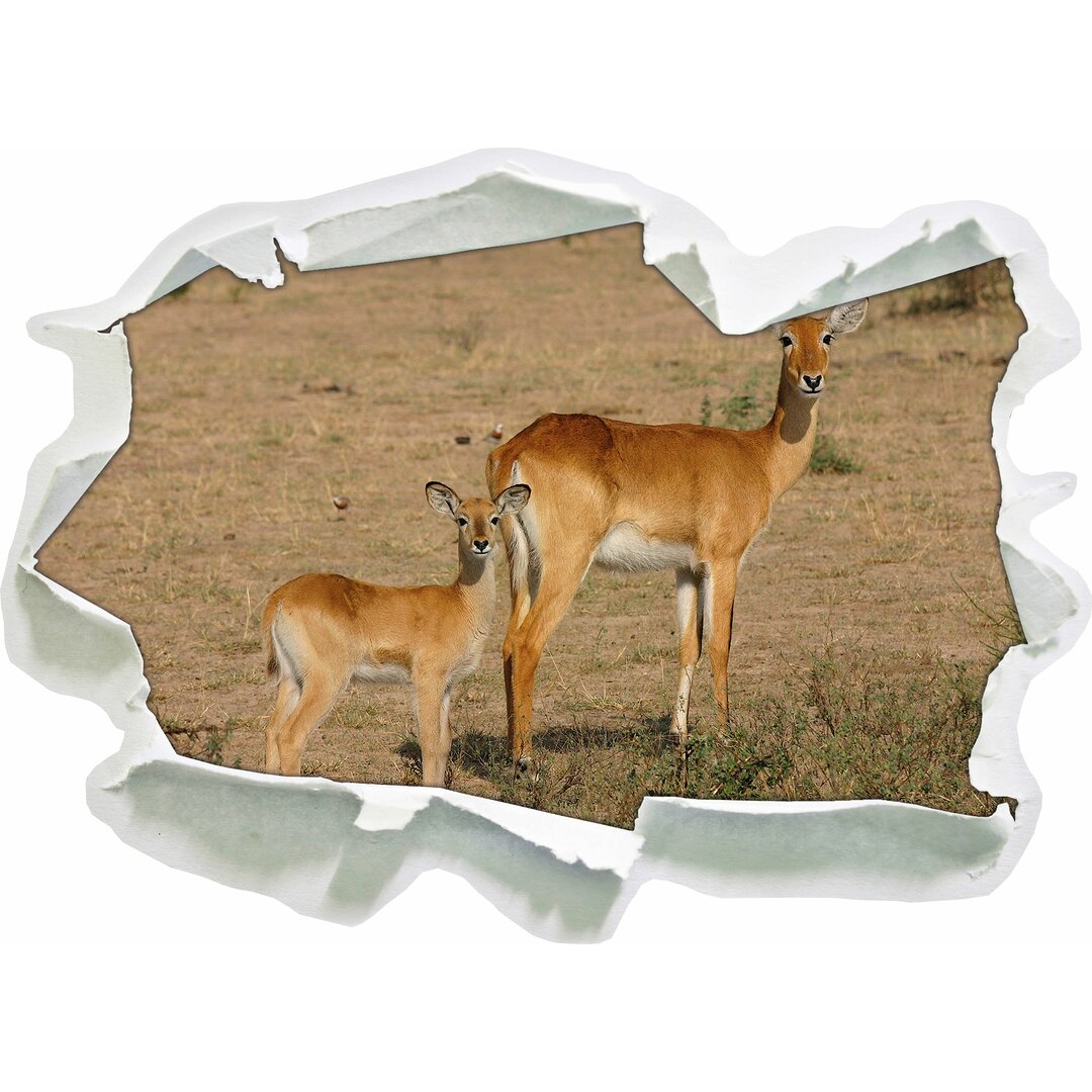 Wandtattoo Weibliche Indische Gazelle mit Jungtier