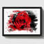 Print-23742028-23742027