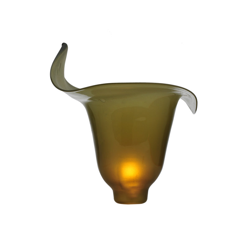 Novelty Lamp Shade