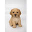 Statue retriever chiot assis
