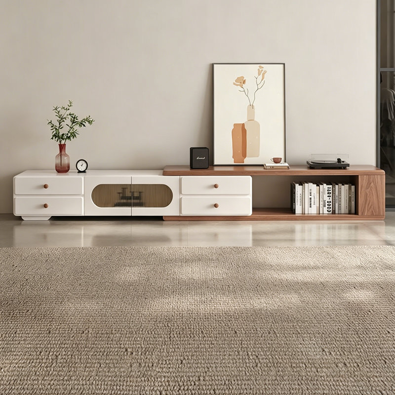 Modern Creative Light Luxury TV Cabinet